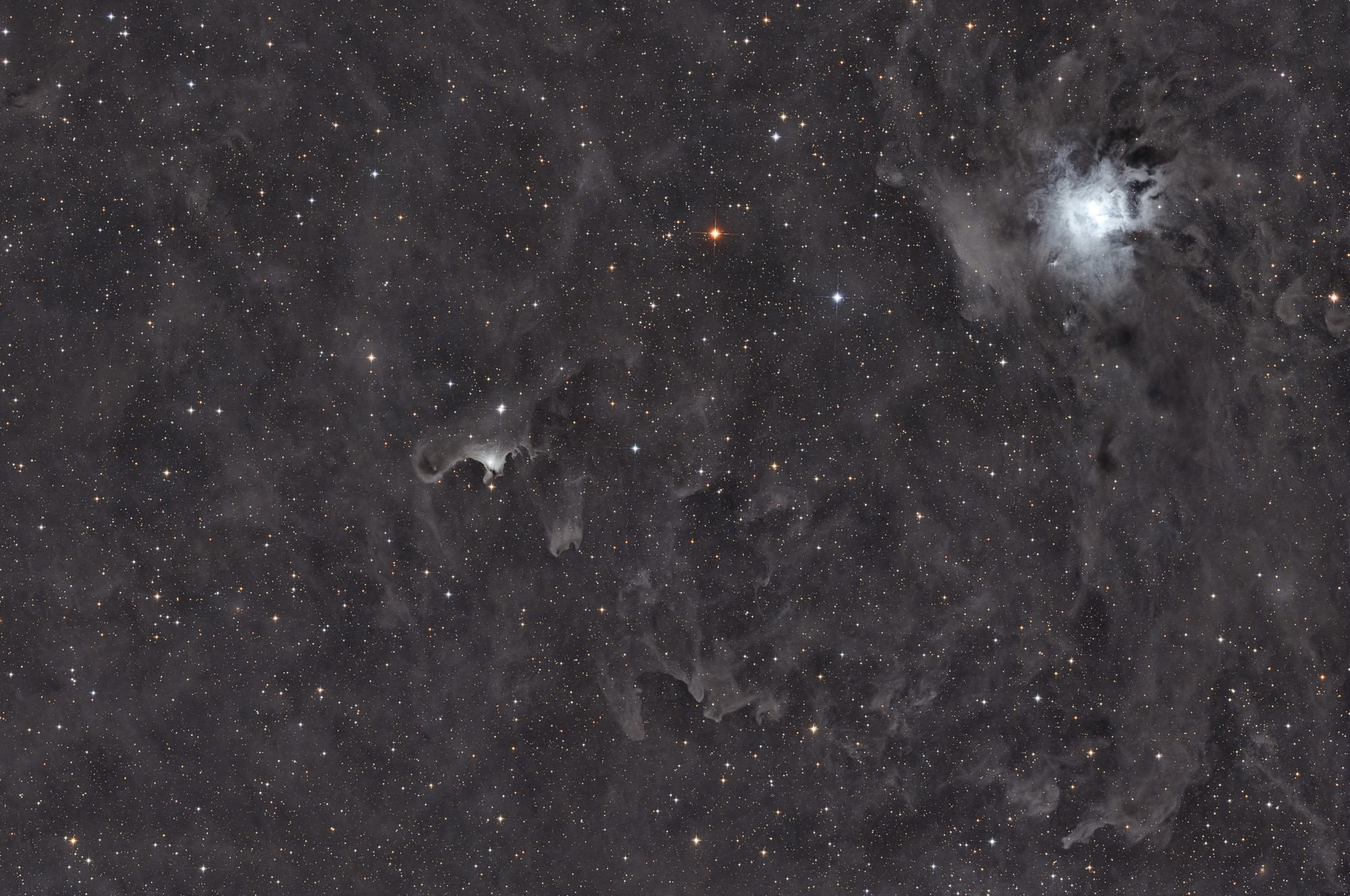 The Ghost Nebula in the center of the image was cataloged as van den Bergh (vdB 141) by Sidney van den Bergh in 1966. The embedded stars illuminate the nebula in a brownish light. The bright Iris Nebula, upper right, is excited to glow by hot star HD200775. Both reflection nebulae are in the constellation Cepheus.